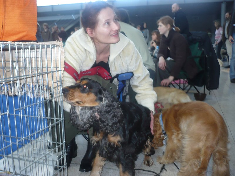 Bartolomeu Dias (1).JPG